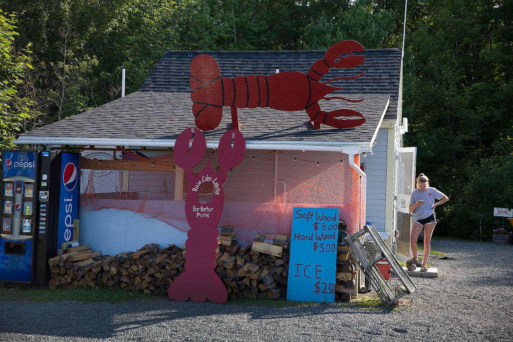 Maine Lobsters