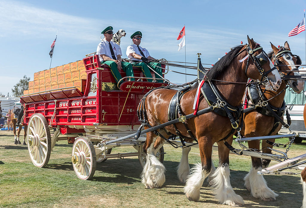 Budweiser Super Bowl ad 2023: Clydesdales make brief