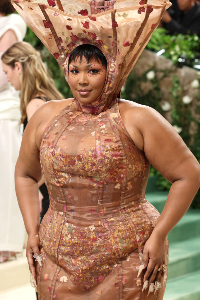 The 2024 Met Gala Celebrating "Sleeping Beauties: Reawakening Fashion" - Arrivals, Lizzo Reacts To South Park Spoof